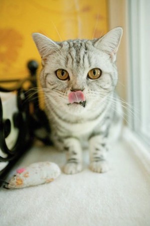 ����� ��� ����� � ������������ (12 ����)