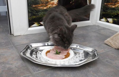 ����� ��� ����� � ������������ (12 ����)