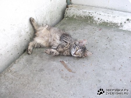 ������ :)