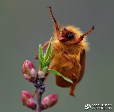 ����� ����� � ������� � ��������! ;)