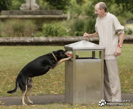 ������ �� ������ ������� (10 ����)