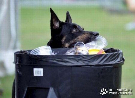 ������ �� ������ ������� (10 ����)