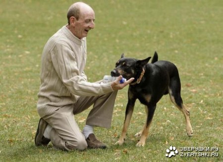 ������ �� ������ ������� (10 ����)