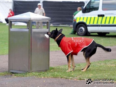 ������ �� ������ ������� (10 ����)