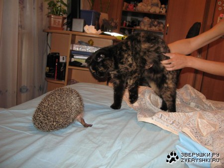 ���������� ����� � ������ � ������ :)