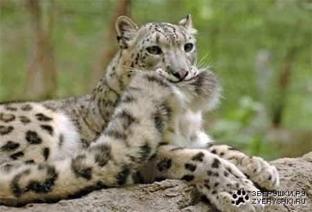 �� ��� ���� � ����� ;)