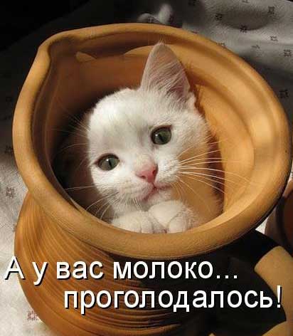 ��������� ���� (9 ����)