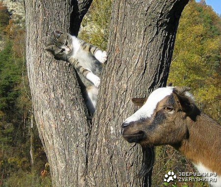 ��� ��� ��� � ��� �����? :)