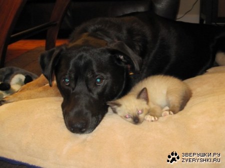 ���������, �� ���������� ;)