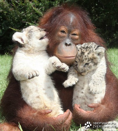 �������� ������� :)