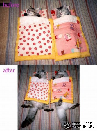 �� � ����� :)