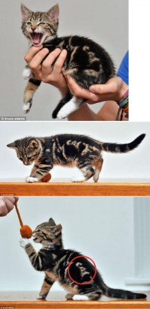 ��������� ����� ;)