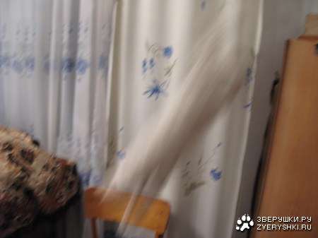 �������� ��� ��������... ��� ����� ����� ��������� :)