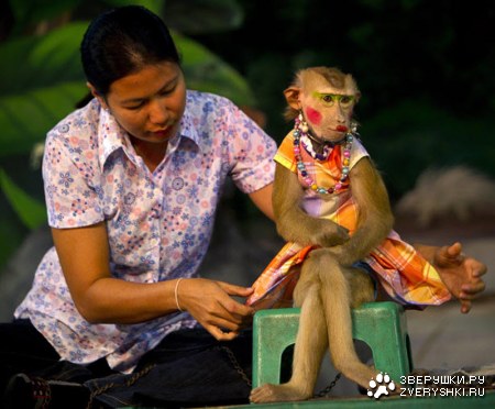 ���������� ��������� ����� (10 ����)