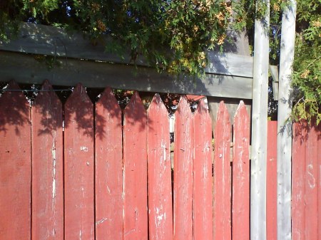 ������� ����! :)