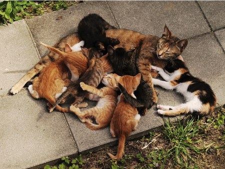 ������� � ������ (15 ����)