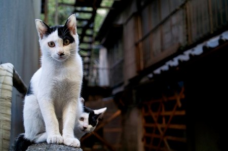 ������� � ������ (15 ����)