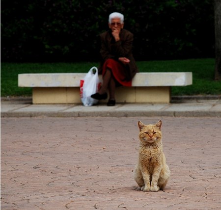 ������� � ������ (15 ����)