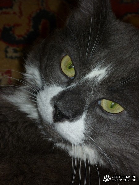 ��� ����������� :)