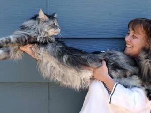 ����� ������� ��� � ����!