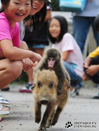 ���������-�������� ;)