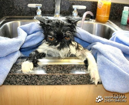 ����������, � ��� ������! :)