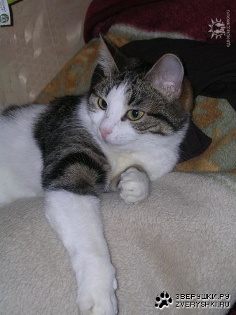 ����-������ :)