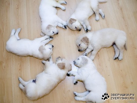 ������� :)