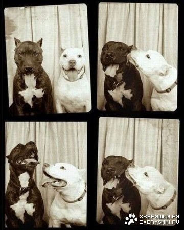 �������� ������� ;)