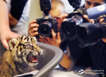 �� �� ��� ���������! :)