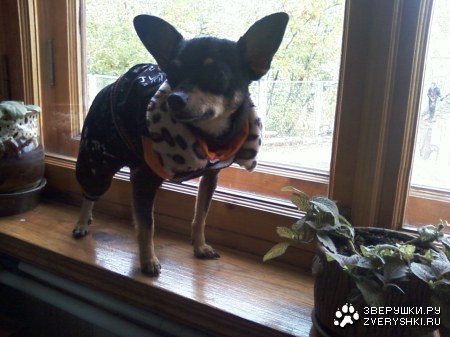 ����� ����!