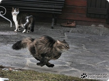 ��� ��� �������� :)