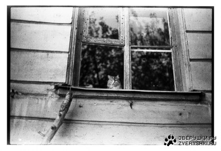 ��� ���� �����������!