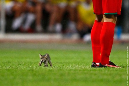 ����������� ���������!