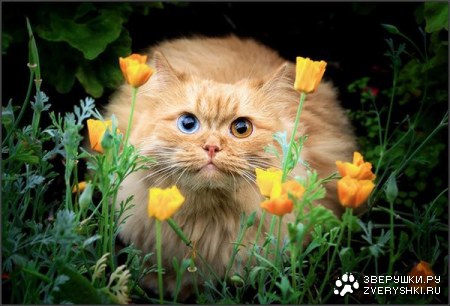 �������� ������!