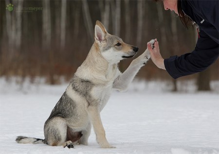 �������� �������� �������� �� ������� ����� (19 ����)