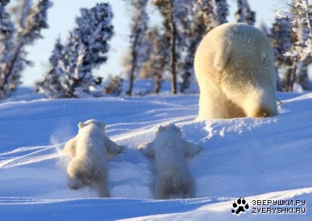 ����, ����, �� � �����! ;)