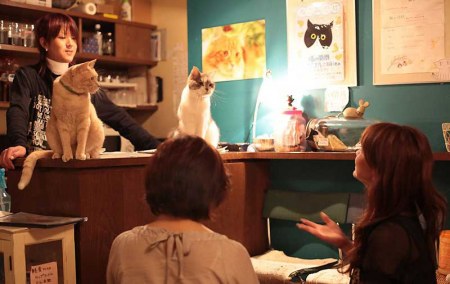 ���� "������ ���" (14 ����)