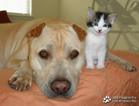 ��������� ������ ;)