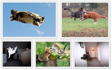 � ���� ����� ������! (10 ����)