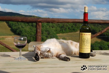 ���������� �������� (9 ����)