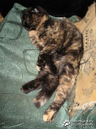 ������- �������! :)