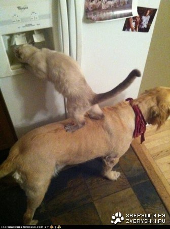 � ��-���� ��� ������ :)