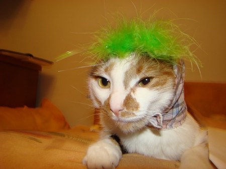 ���� ���� �� ����� ����� (10 ����)