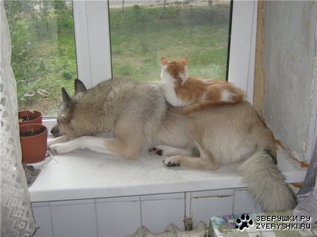 ��������� ;)