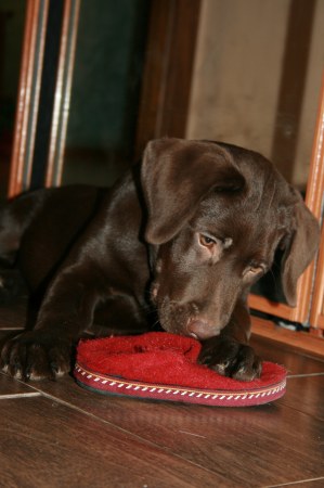 ��� - �����������!