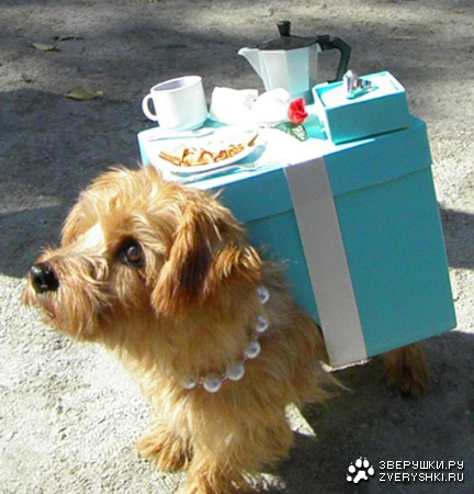 ������� ����������? :)