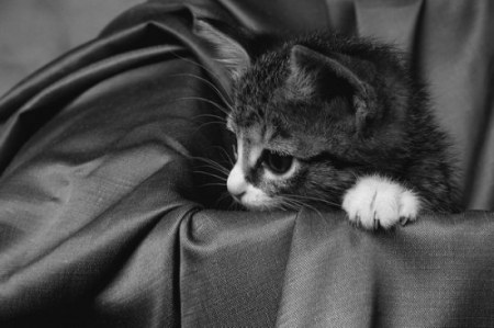 ������������� ����� ����� (21 ����)