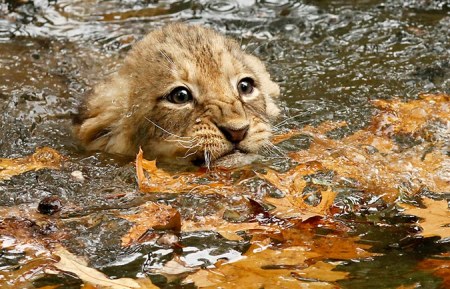 ��������� "������� ����������" :)