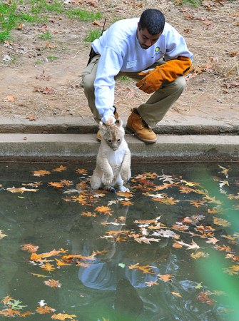 ��������� "������� ����������" :)